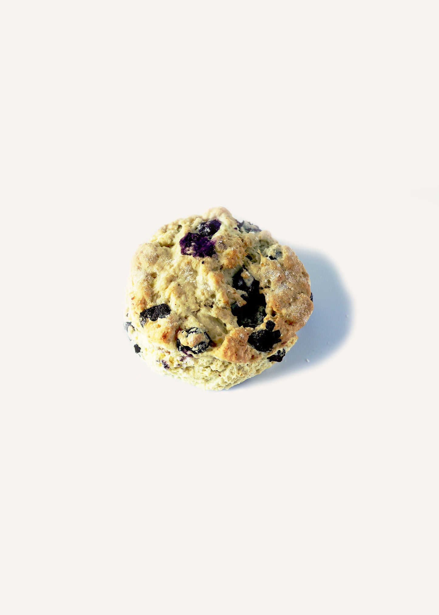 Blueberry Biscuit