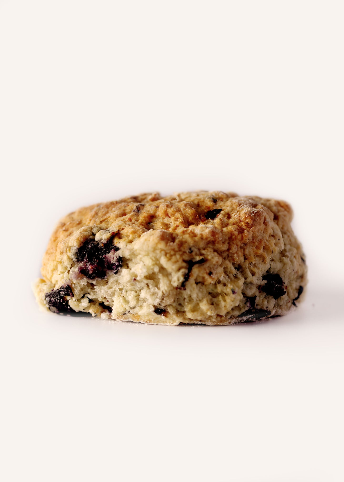 Blueberry Biscuit