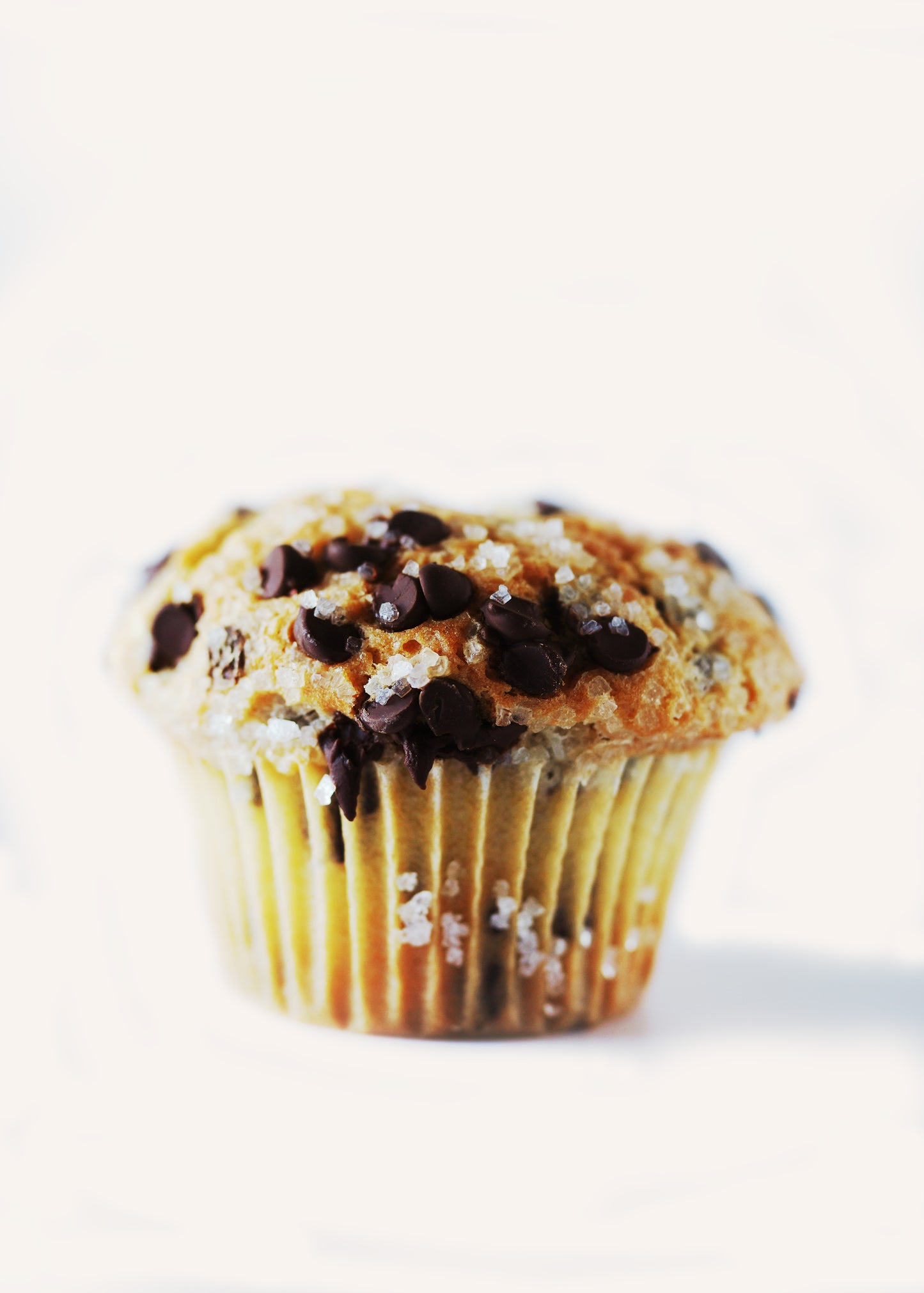 Chocolate Chip Muffin