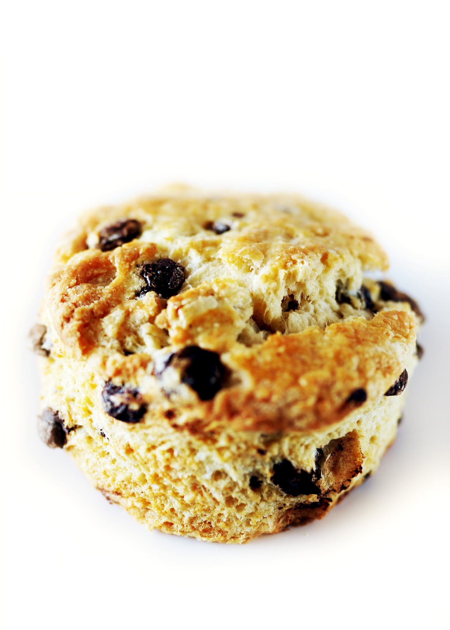 Chocolate Chip Scone