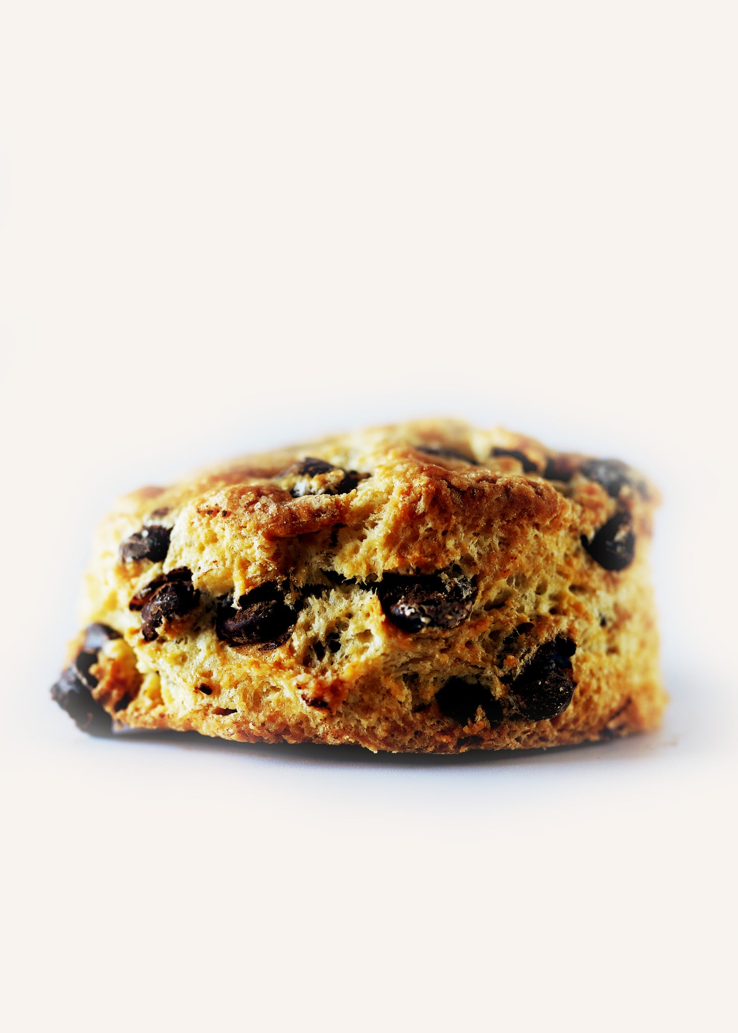 Chocolate Chip Scone