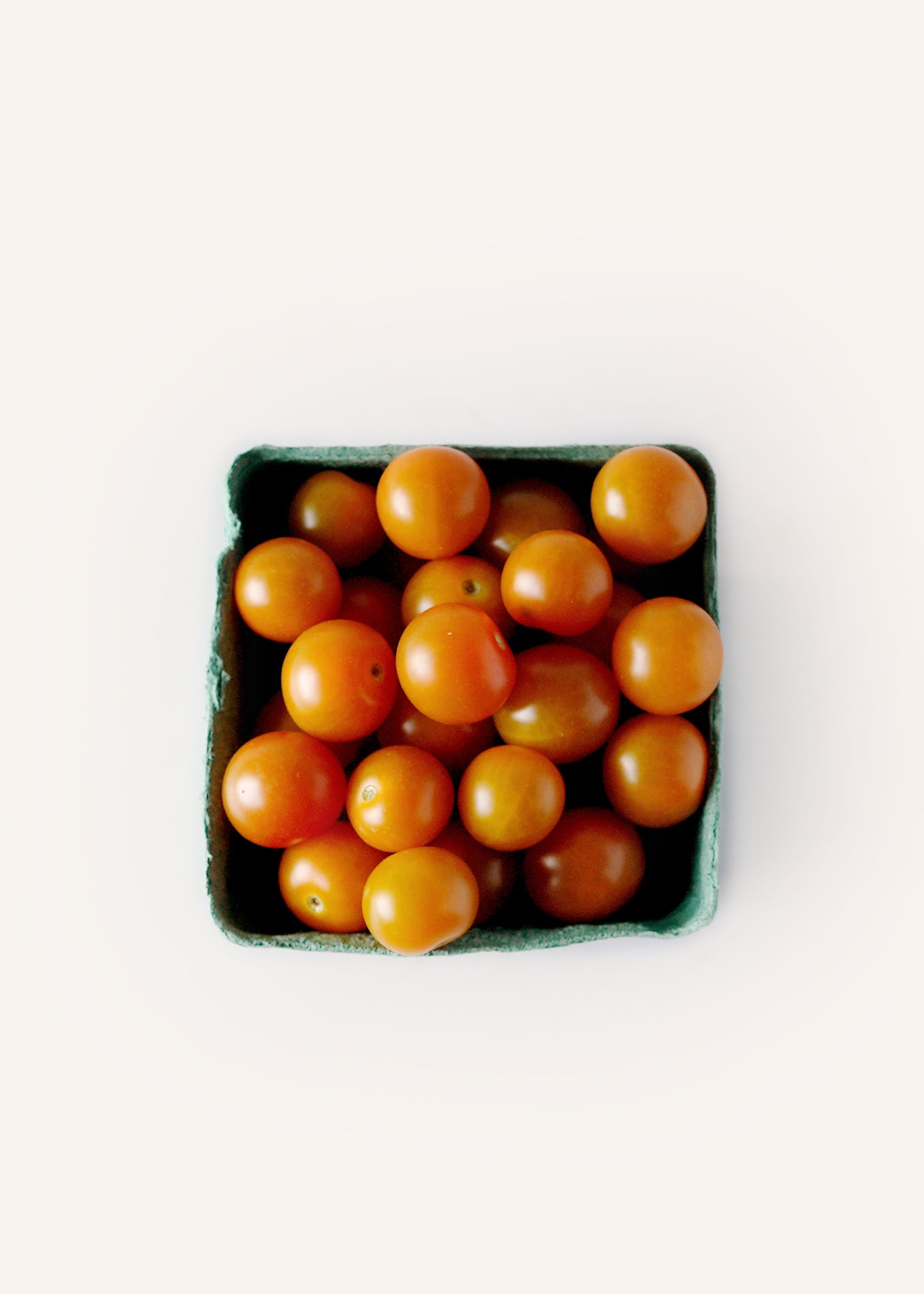 Sun Gold Cherry Tomatoes