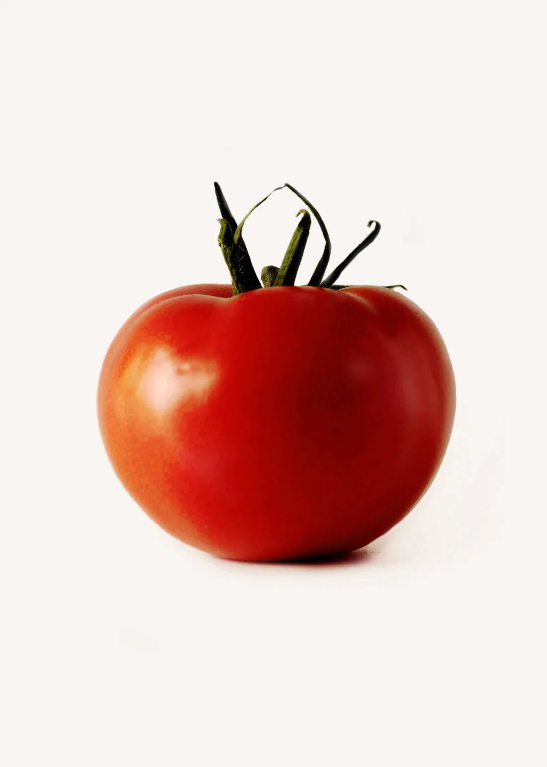 Red Slicing Tomatoes