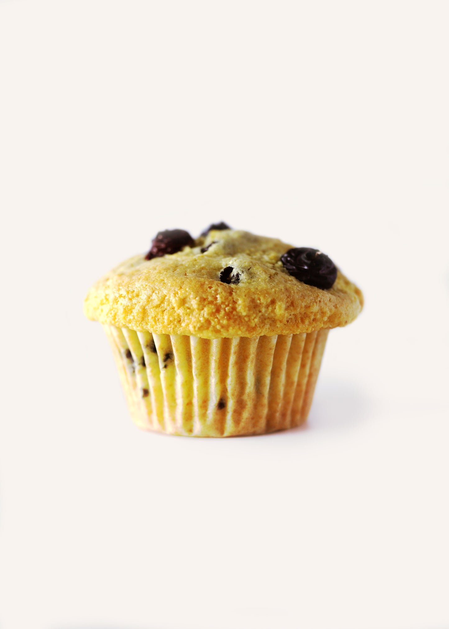 Blueberry Corn Muffin