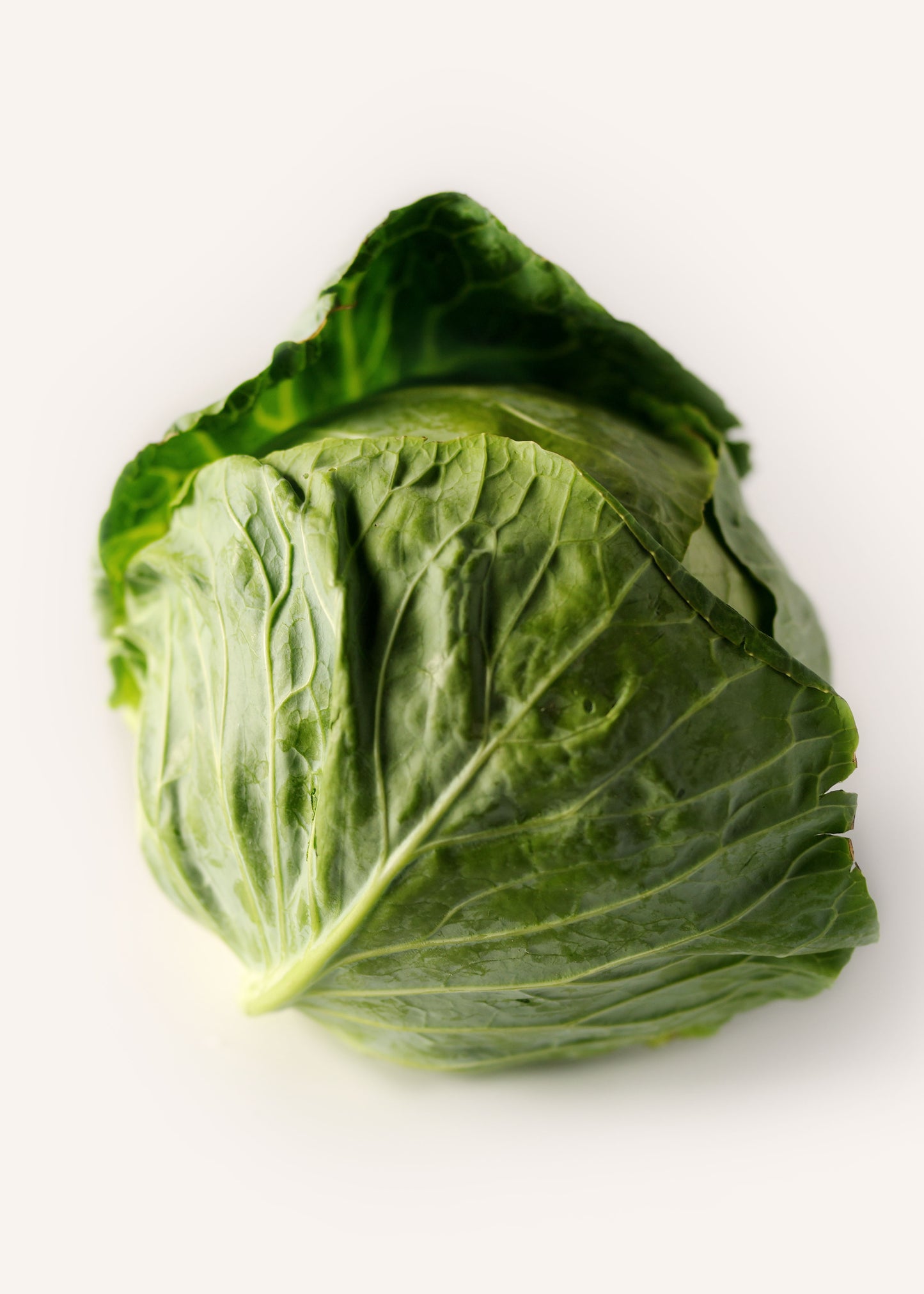 Green Cabbage