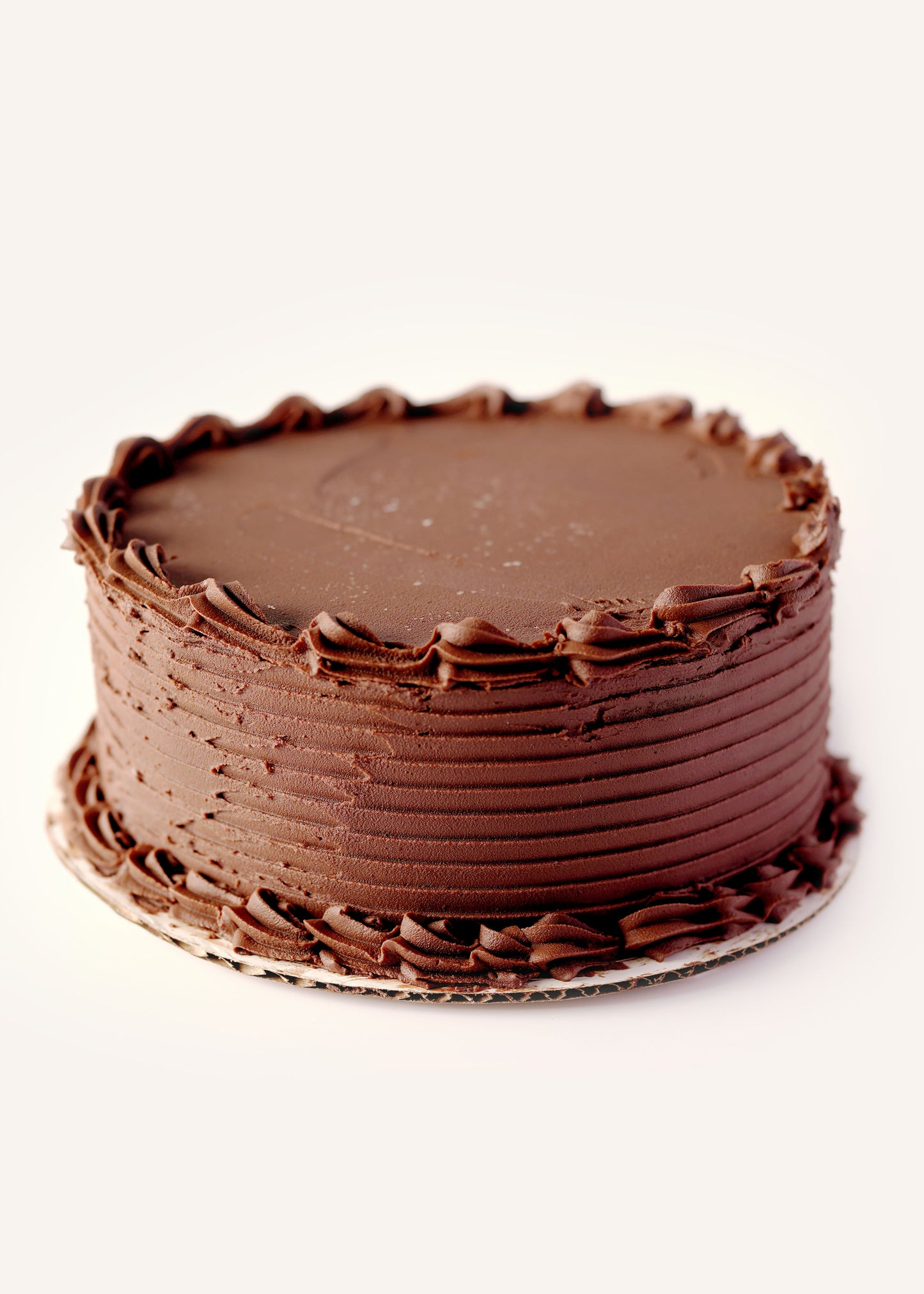 Chocolate Cake with Chocolate Icing