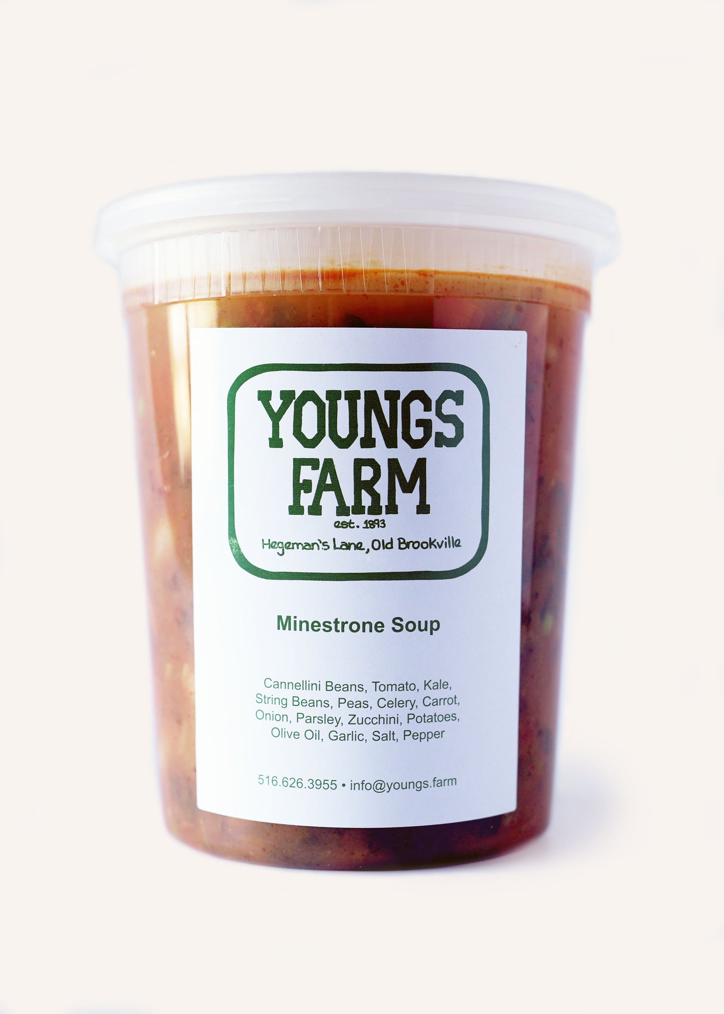 Minestrone Soup