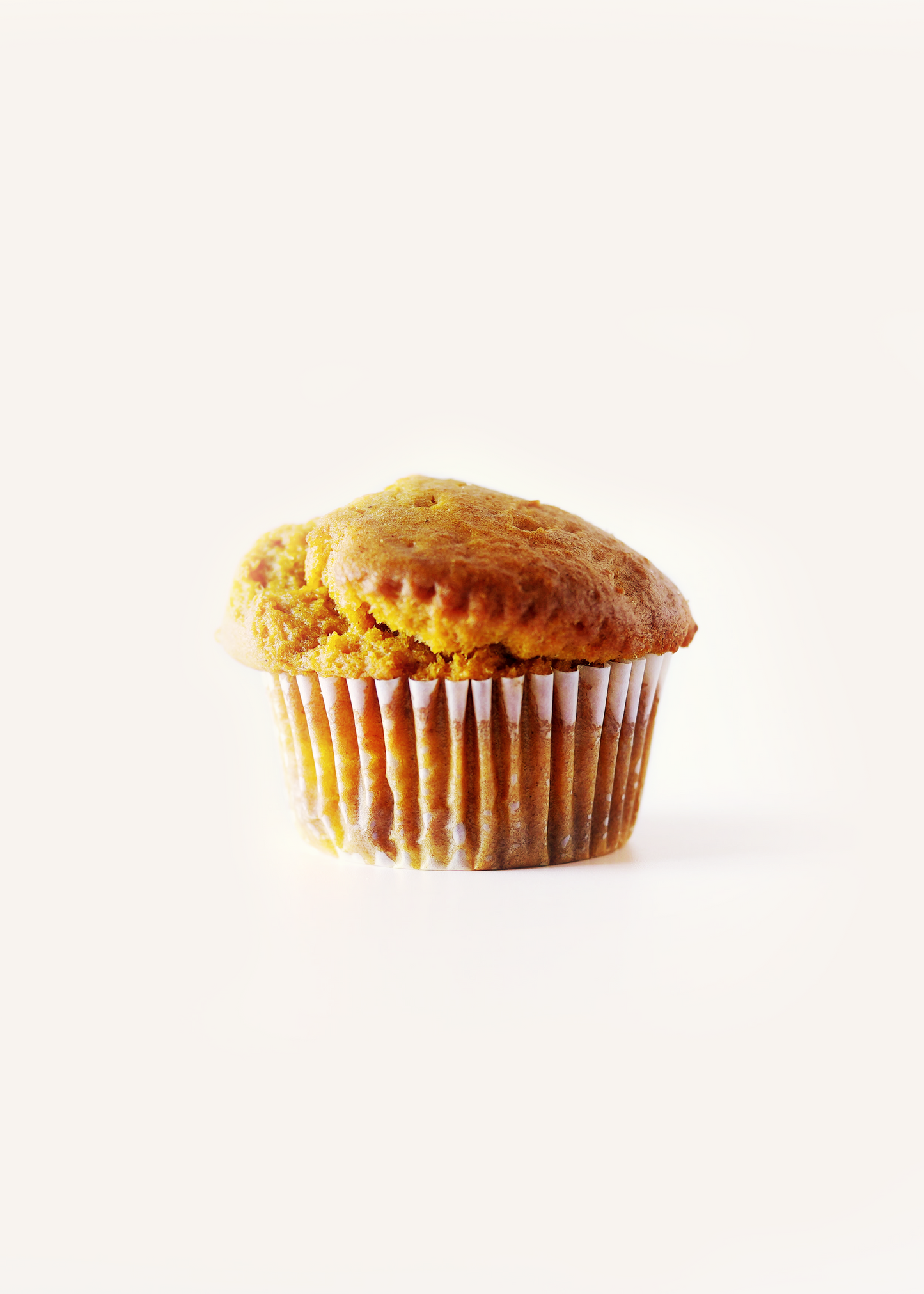 Pumpkin Muffin