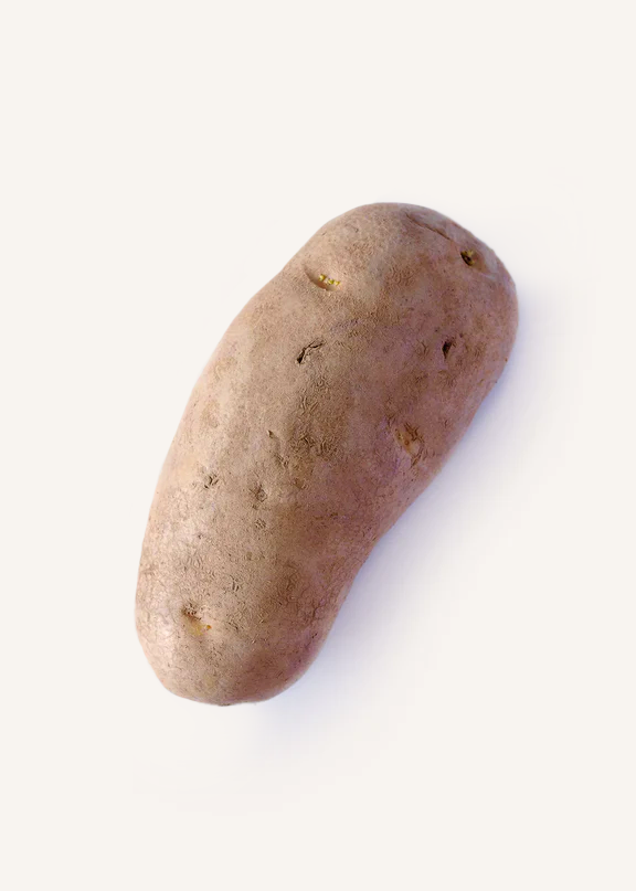 Organic Russet Potato