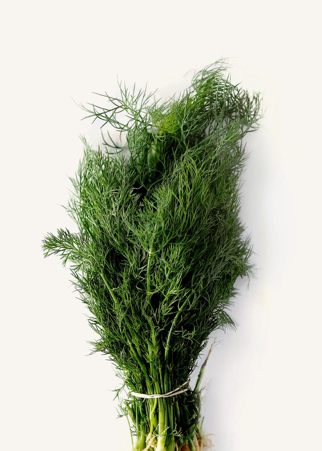 Dill