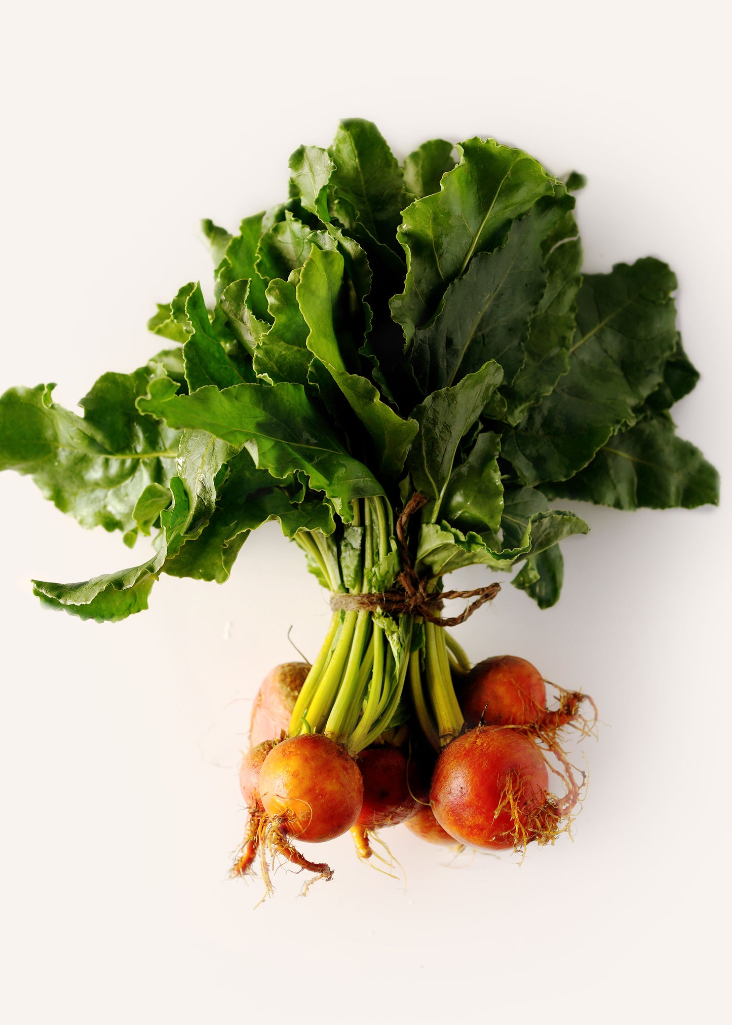 Beets