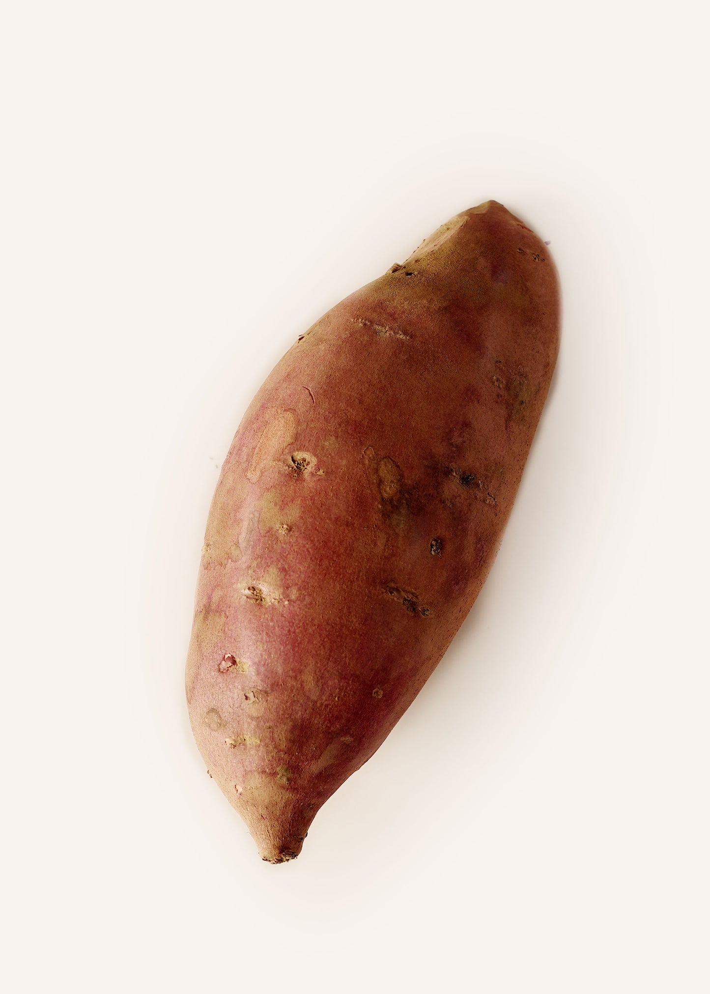 Sweet Potato