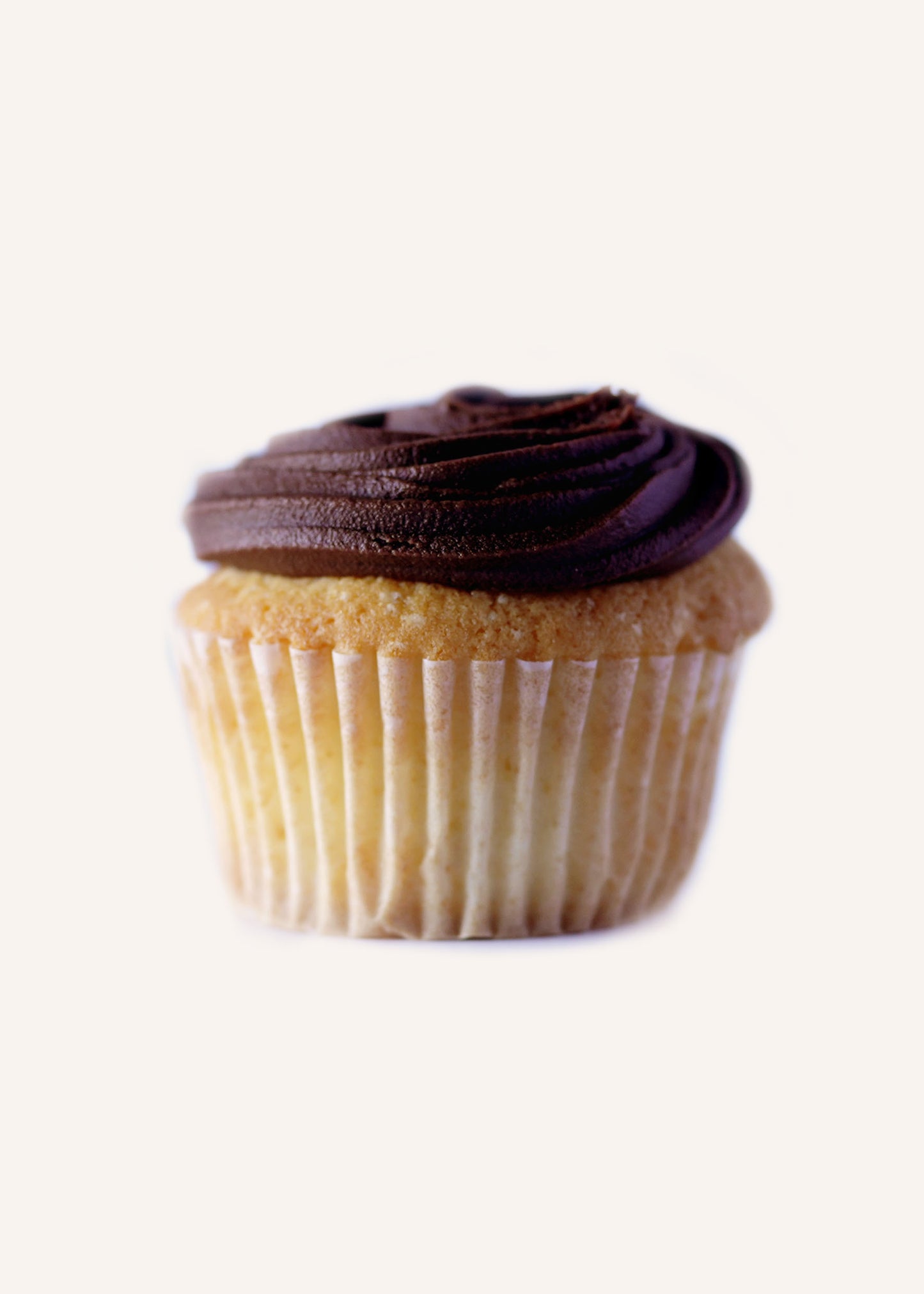 Yellow Cupcakes with Chocolate Icing