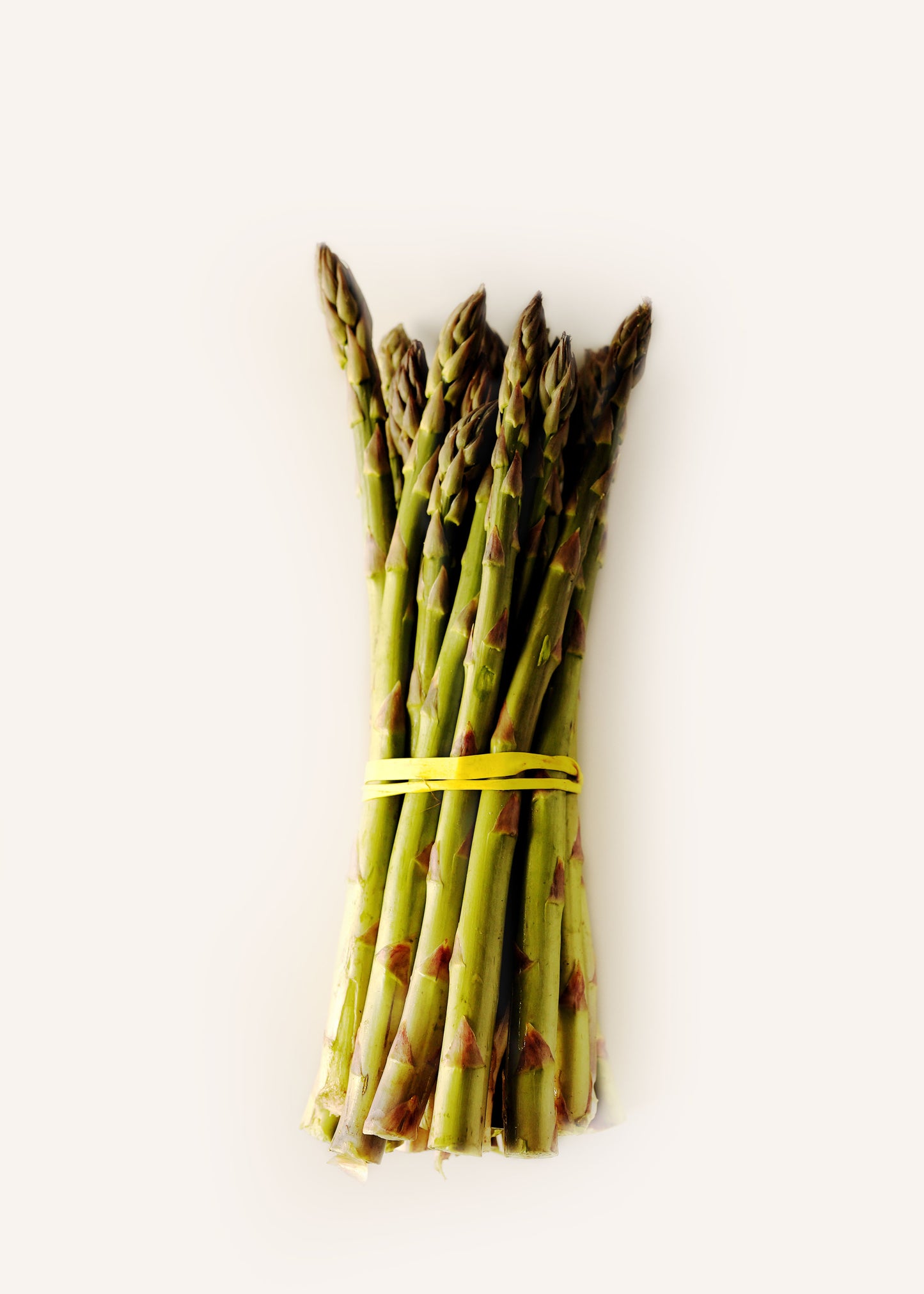 Asparagus
