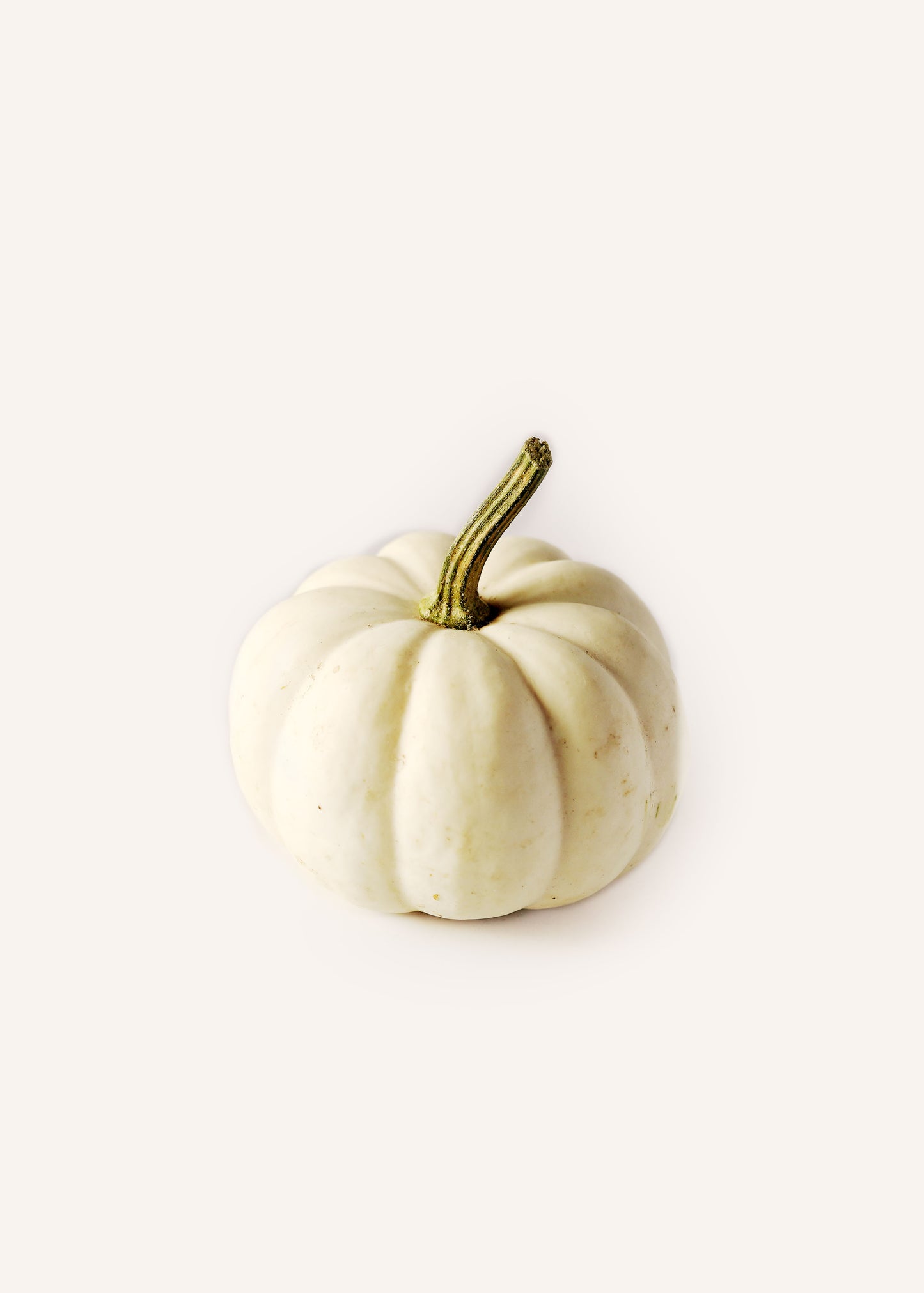 Jack-B-Little Pumpkins