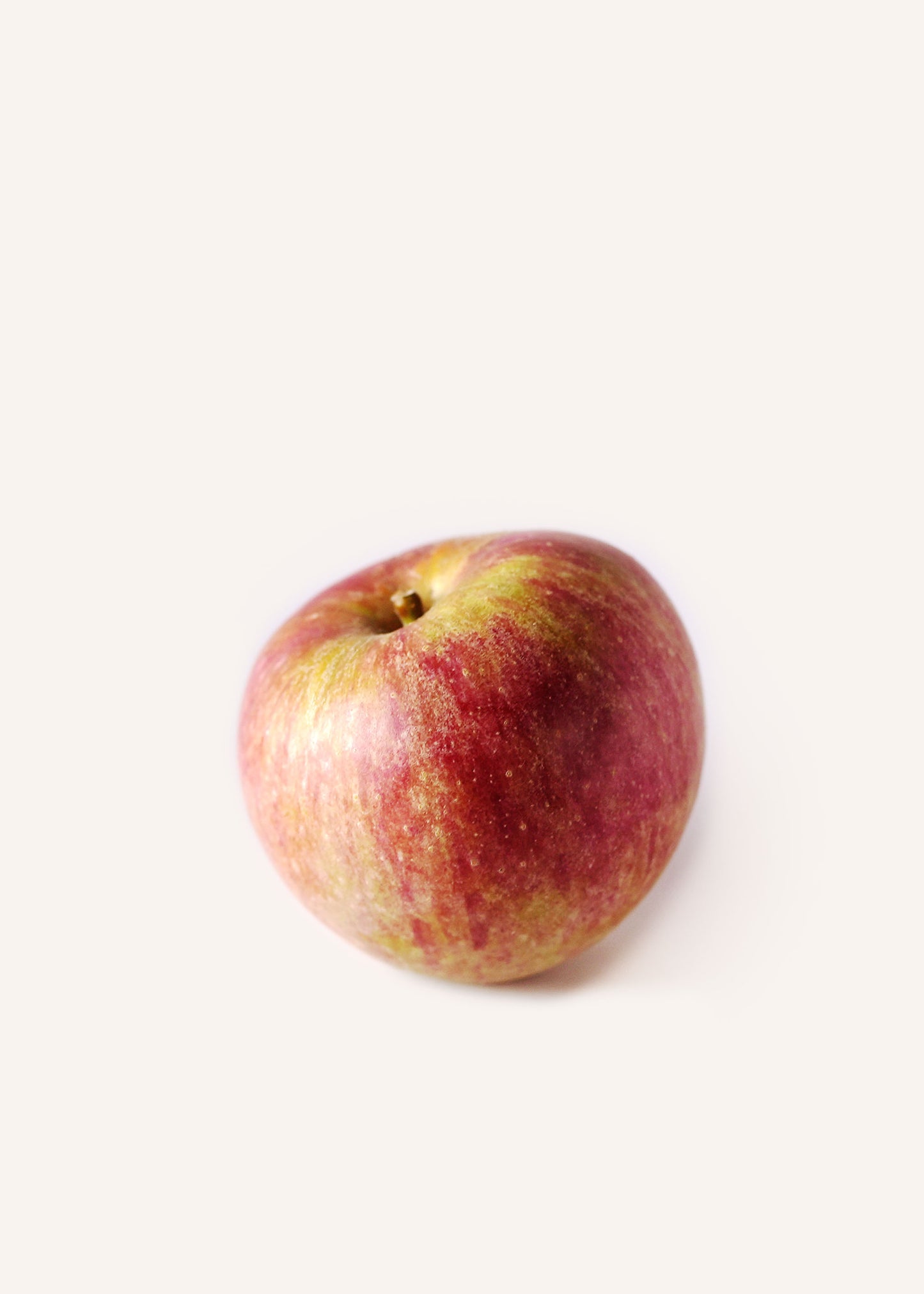 Winesap Apple