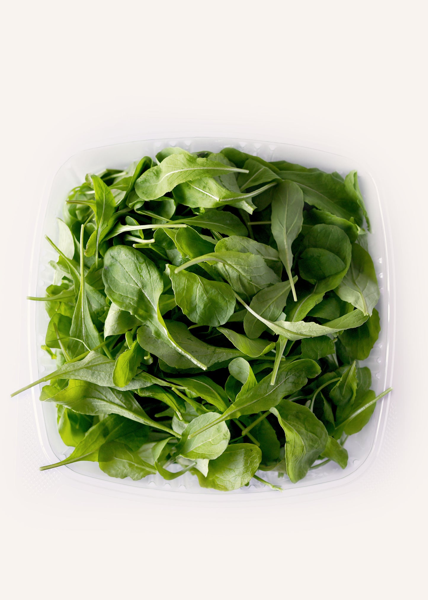Arugula