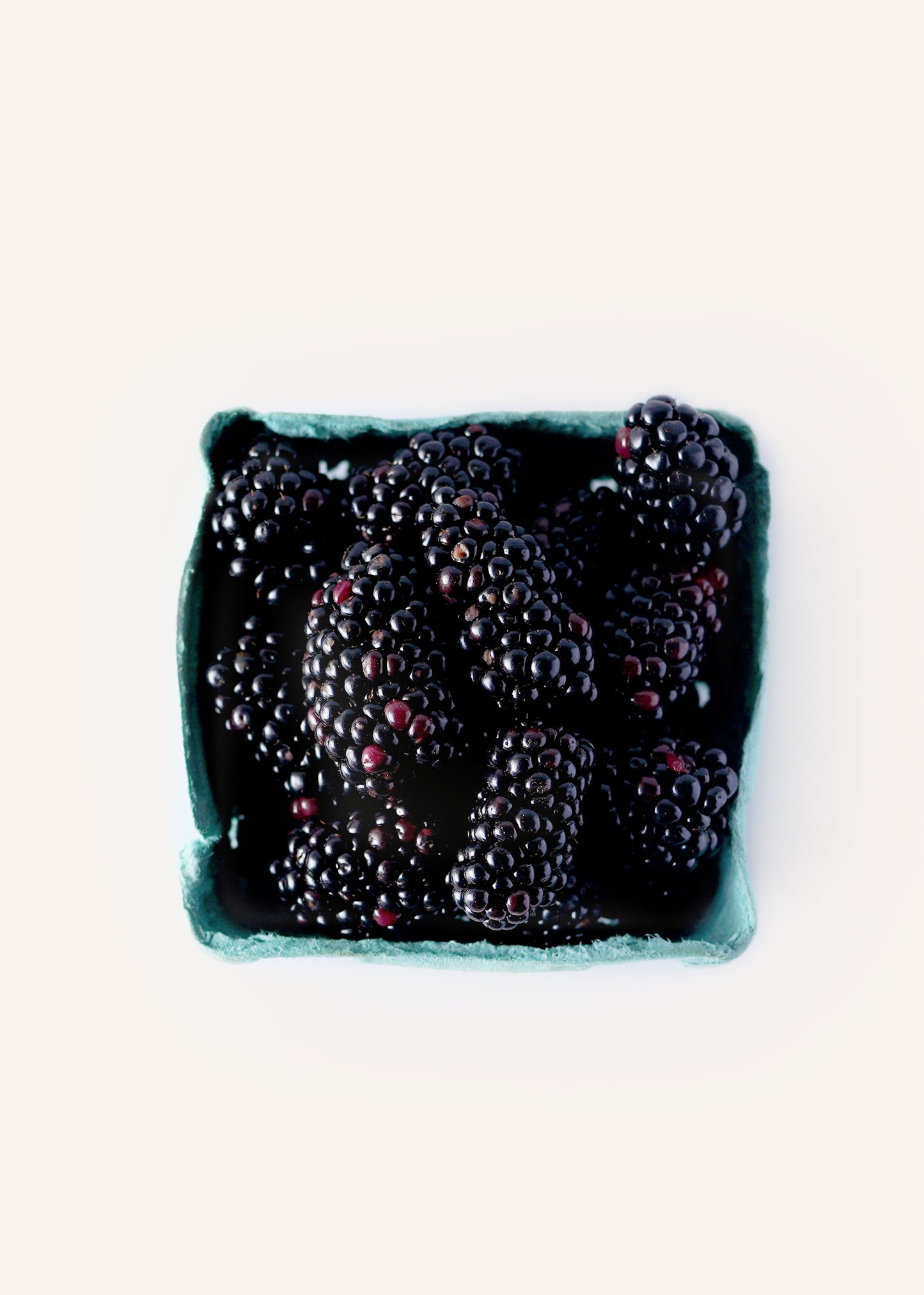Blackberries