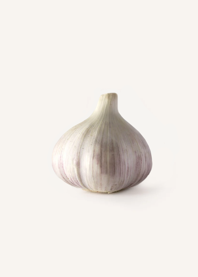 Garlic