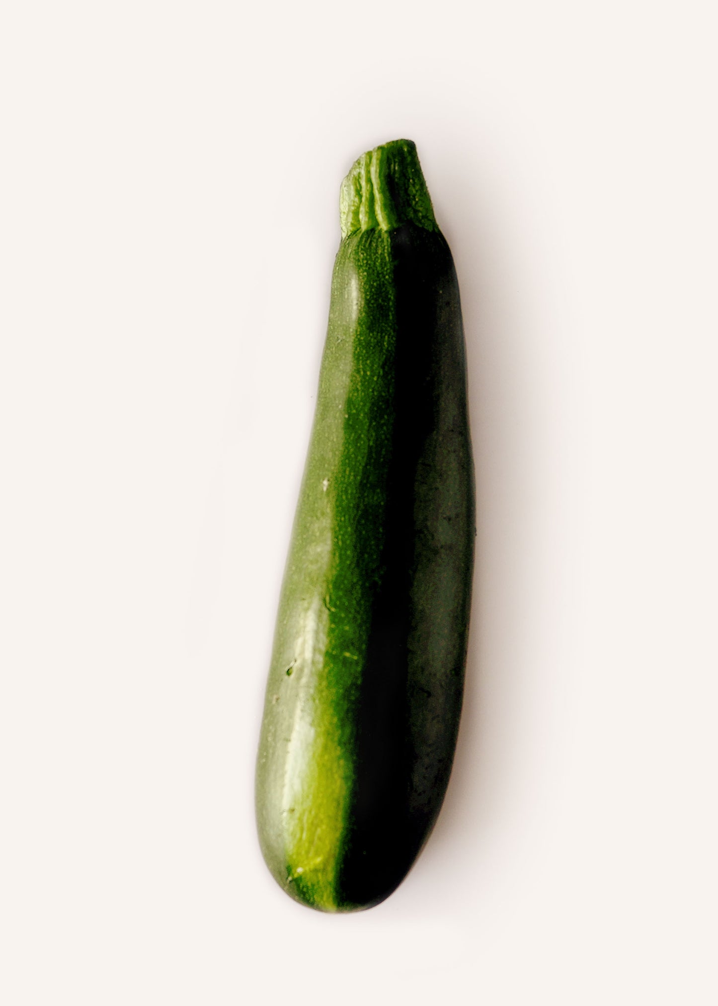 Zucchini
