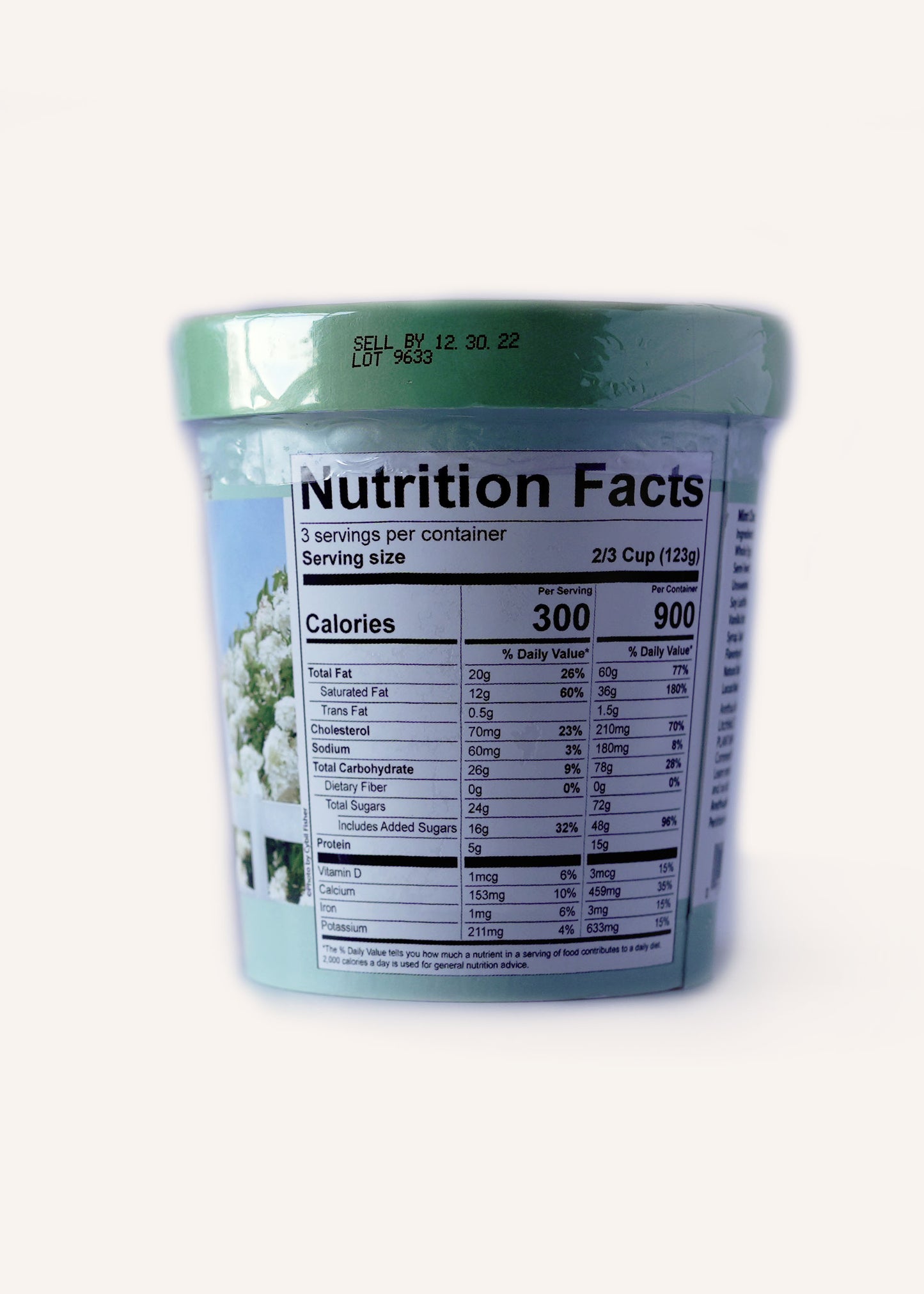 Mint Chip Ice Cream