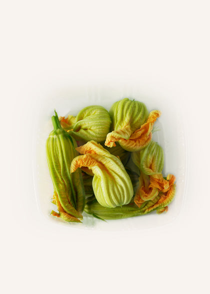 Zucchini Blossoms