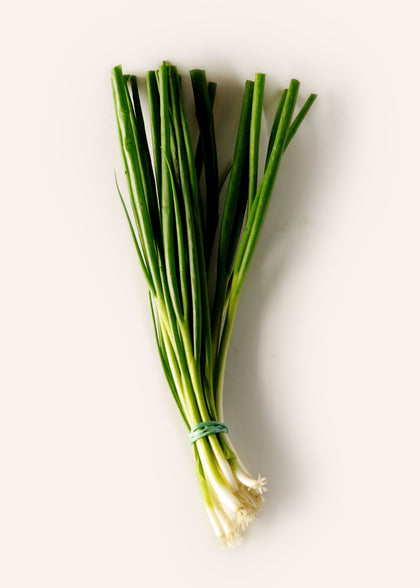 Scallions