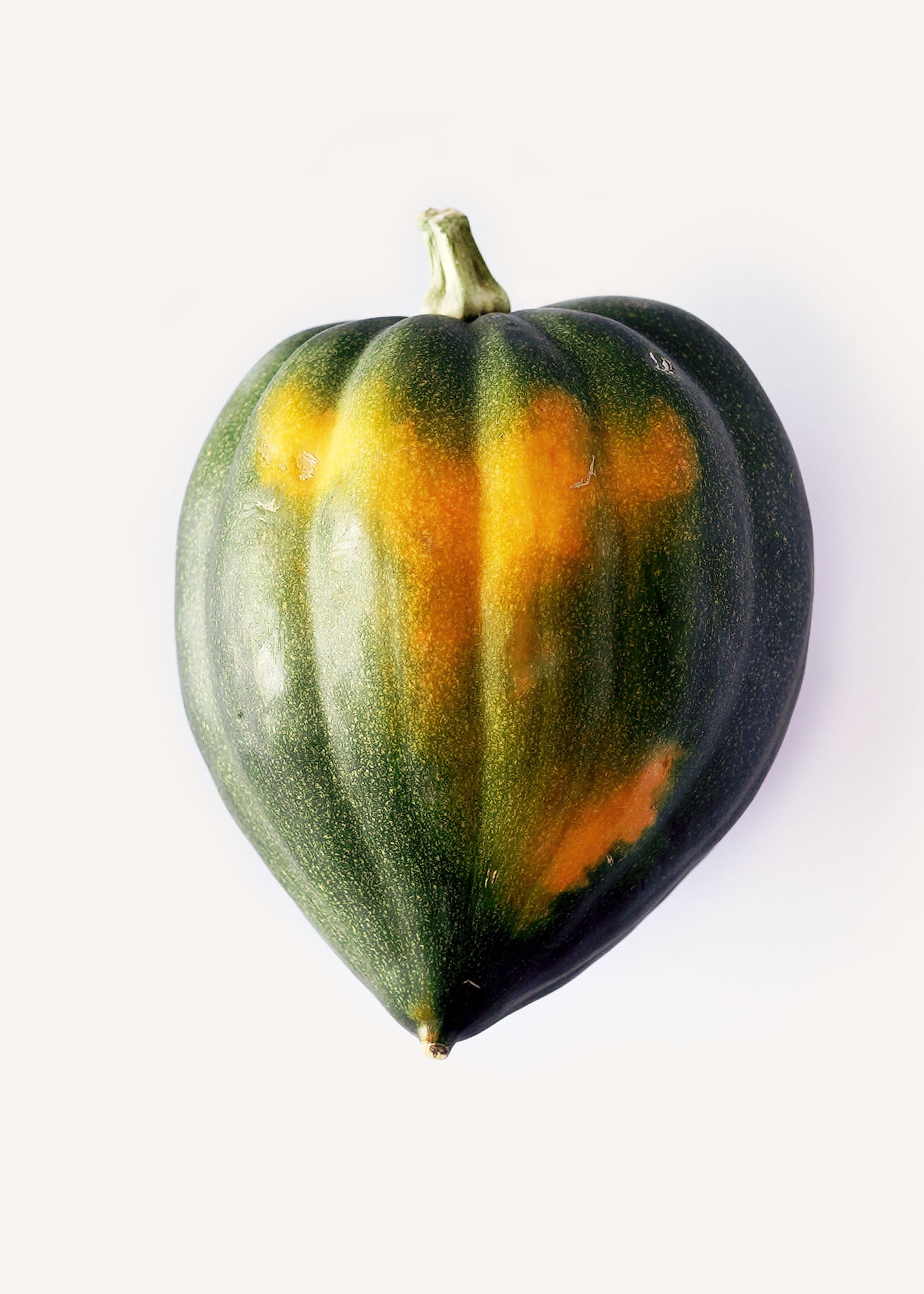 Acorn Squash