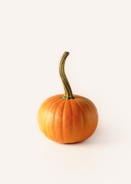 Baby Bear Pumpkins