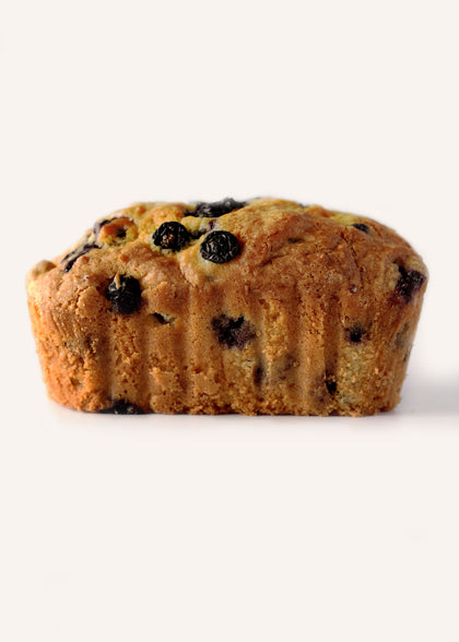 Blueberry Bread