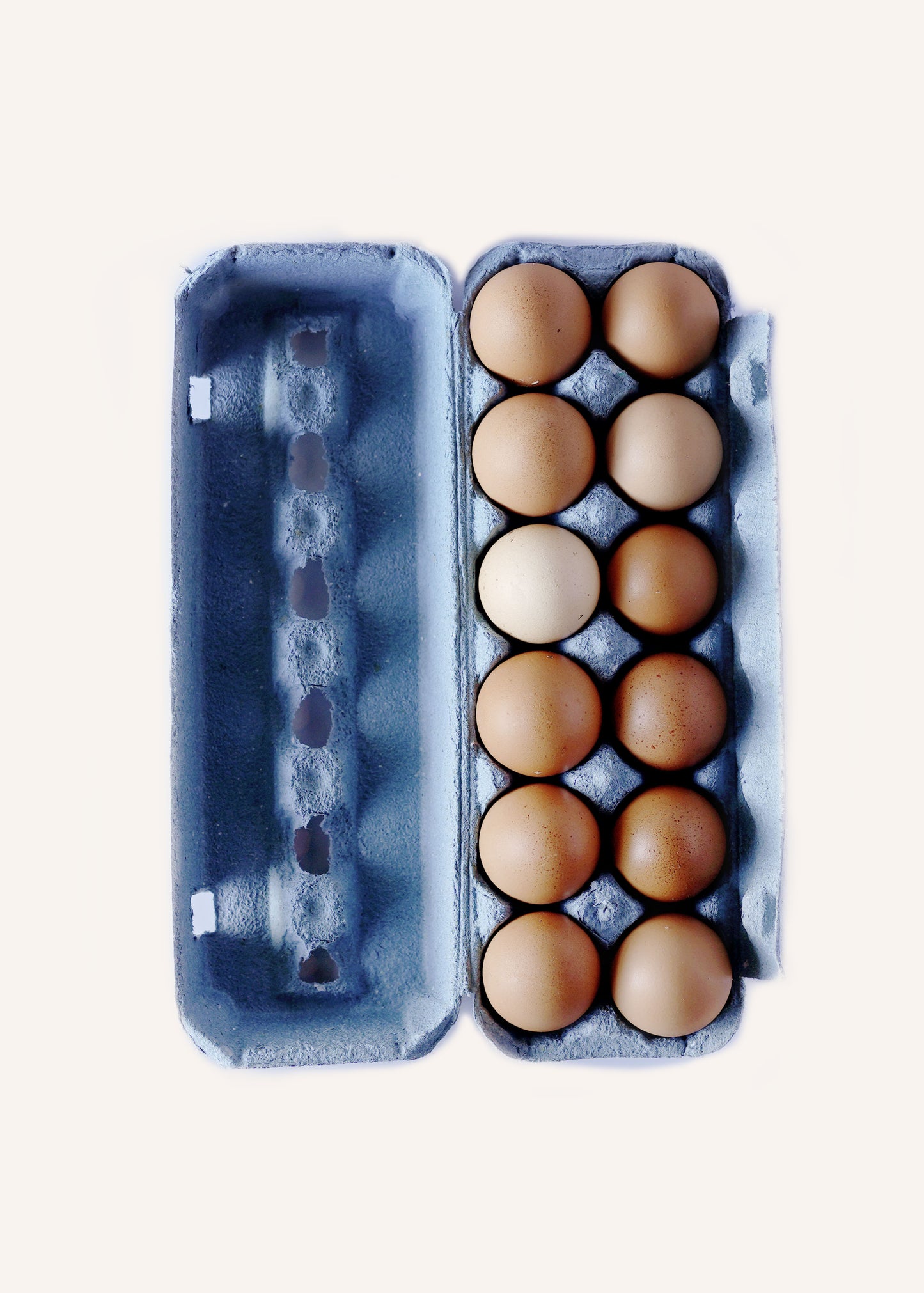 Browder's Birds Organic Eggs