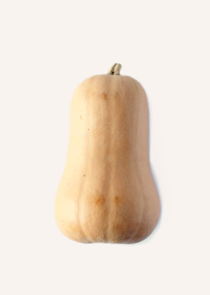 Butternut Squash