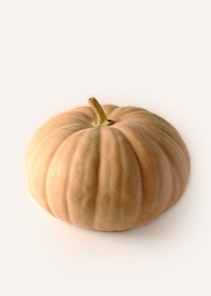 Cheese Pumpkins