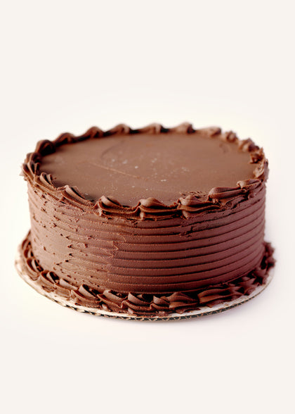 Chocolate Cake with Chocolate Icing