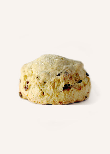 Cranberry Scone