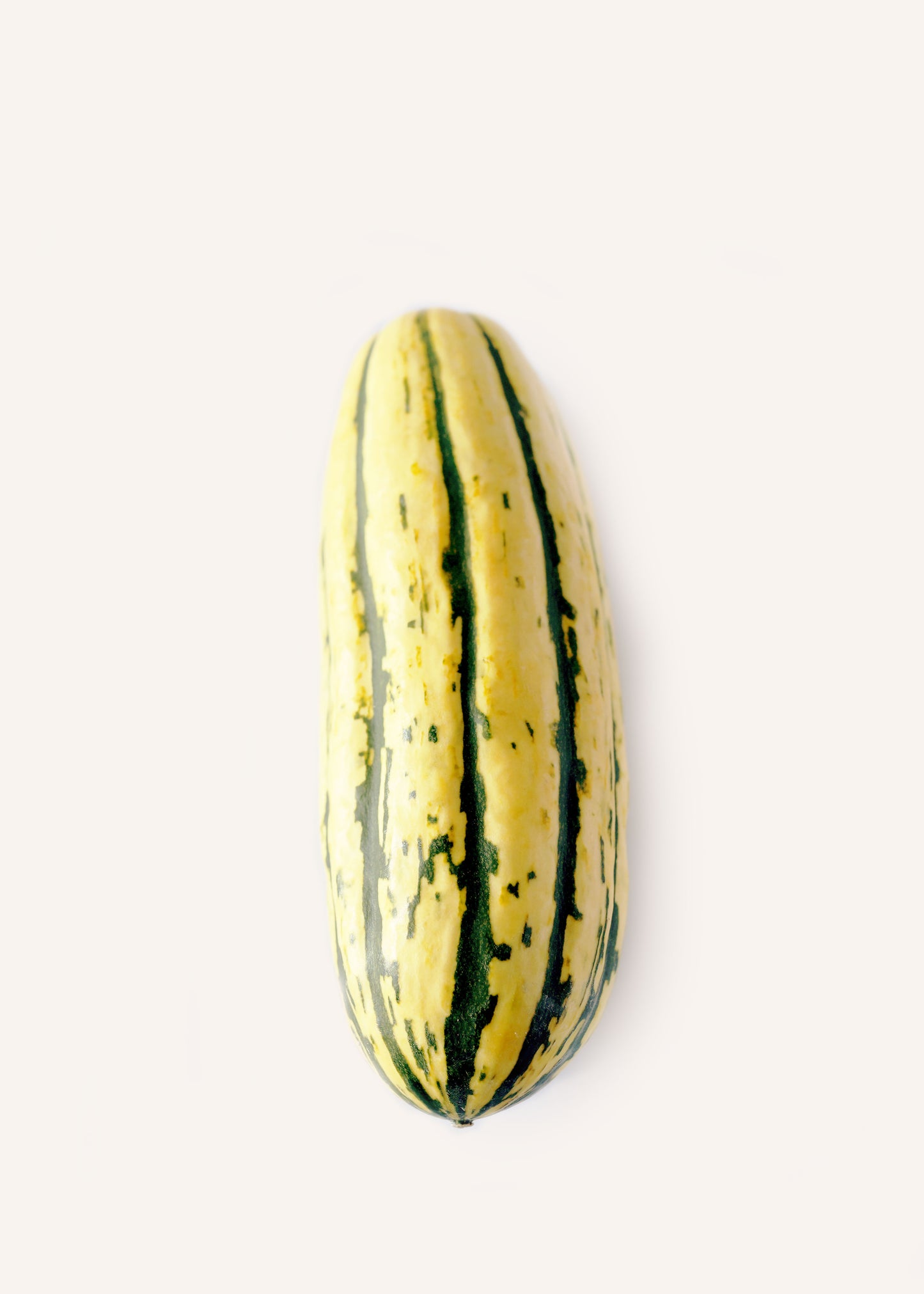 Delicata Squash