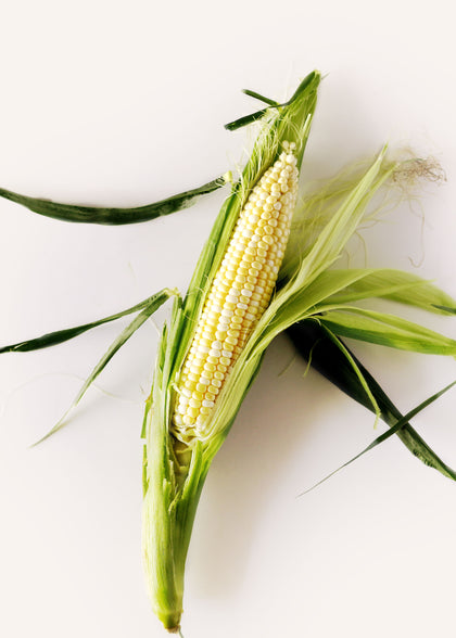Corn