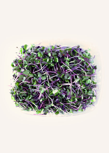 Mild Microgreens