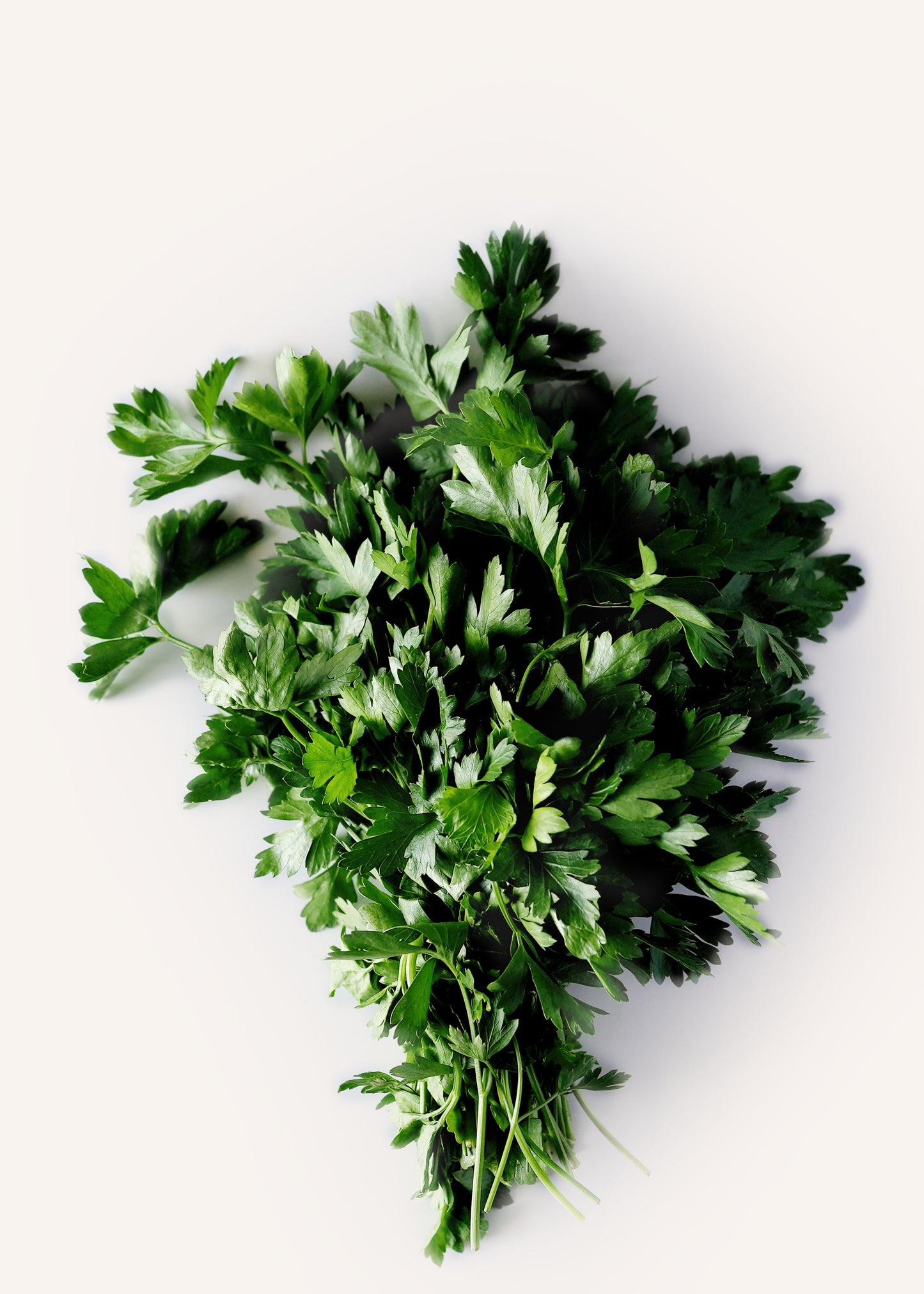 Parsley