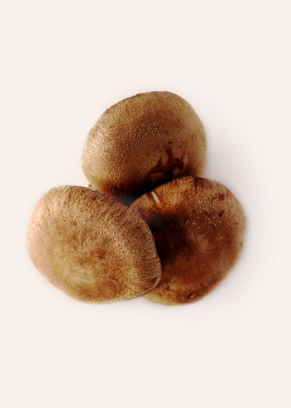 Shiitake Mushrooms