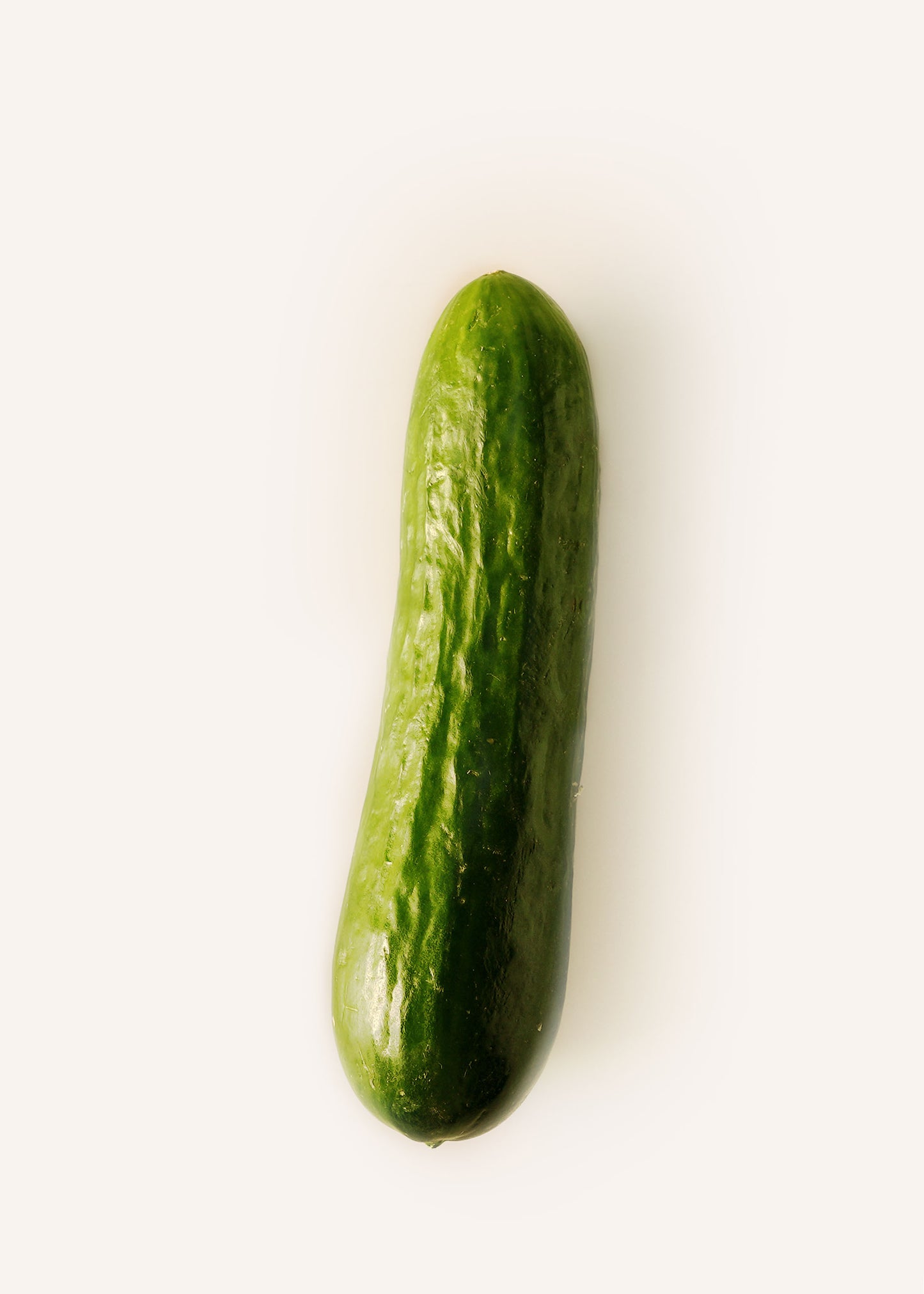 Small Cucumber