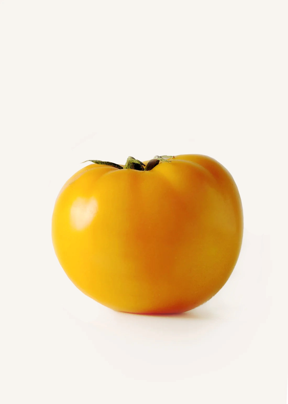 Yellow Slicing Tomatoes