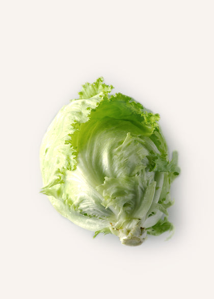 Iceberg Lettuce