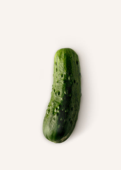 Cucumber