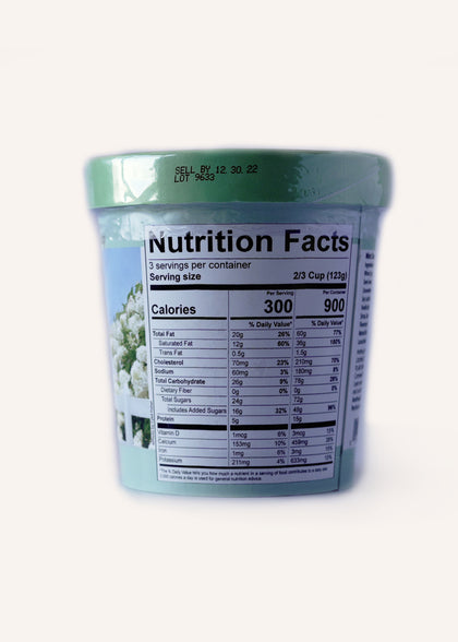 Mint Chip Ice Cream